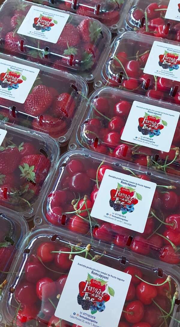 Cutie mare Cherry-Berry 5 kg.