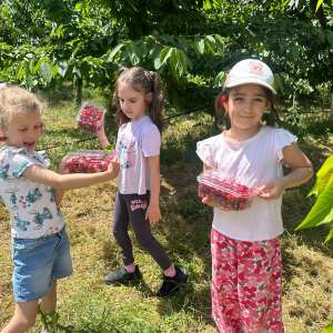 Bilete la evenimentul ”Culege-ti Fructele Singur din Ferma "Bio Mironesti” - sambata, 20 IUNIE 2026- 10:00-18:00. Copiii sub 7 ani vin GRATUIT!